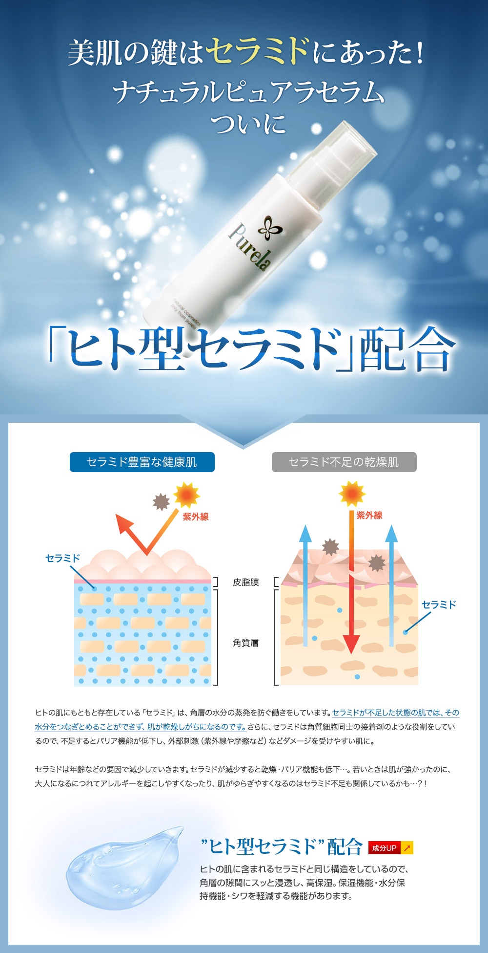 ヒト型セラミド配合